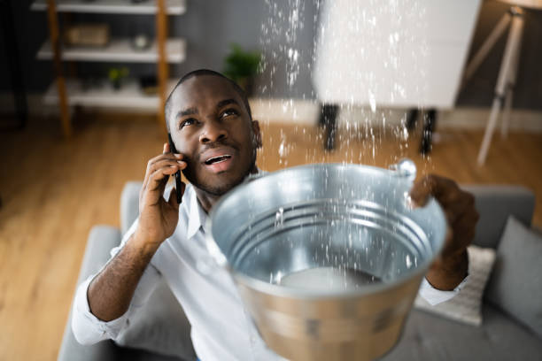 Best Flood damage cleanup  in Ridgewood, IL