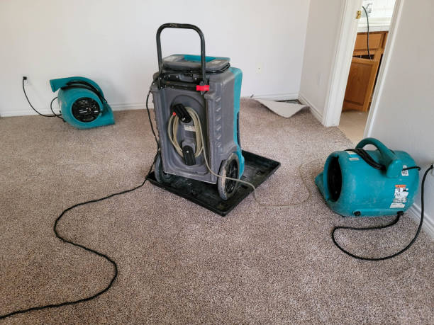 Best Water damage restoration near me  in Ridgewood, IL