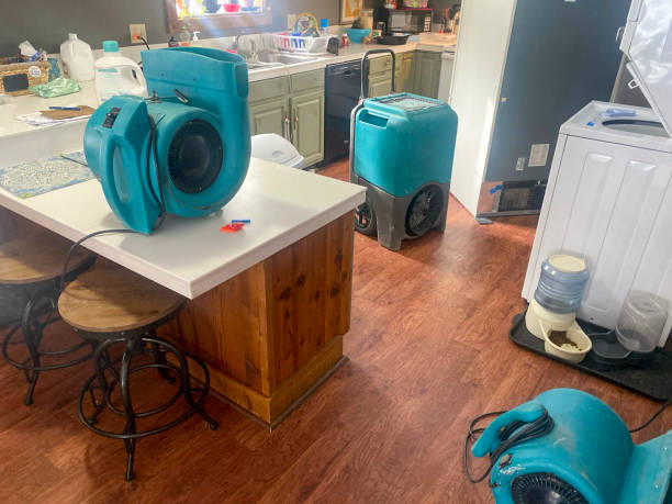 Best Commercial water damage restoration  in Ridgewood, IL