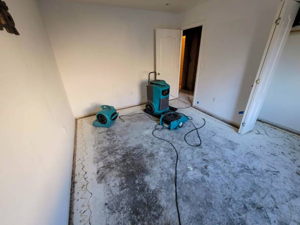 Best Emergency water damage restoration  in Ridgewood, IL