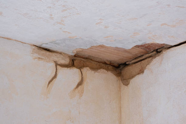 Best Water damage restoration near me  in Ridgewood, IL