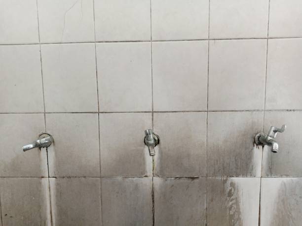Best Mold removal after water damage  in Ridgewood, IL