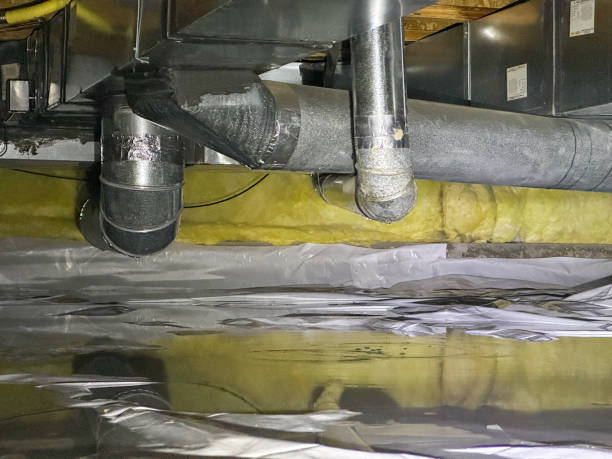 Best Local water damage restoration  in Ridgewood, IL