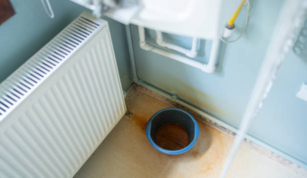 Best Residential water damage restoration  in Ridgewood, IL