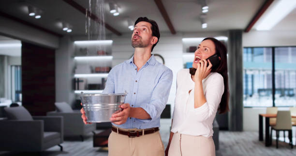 Best Water damage cleanup near me  in Ridgewood, IL