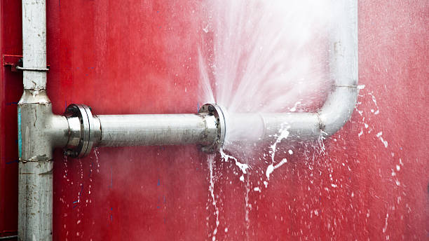 Best Water damage contractors near me  in Ridgewood, IL